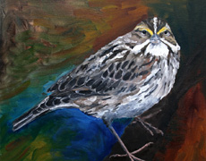 Savannah Sparrow, 16 x 20 inches, SOLD