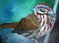 Song Sparrow, 18 x 24 inches, SOLD
